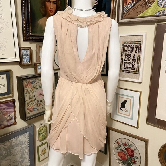 Vera Wang Lavender Label Ballet Pink Ruffled Mini Dress With V-Neck & Open Back - Picture 3 of 9